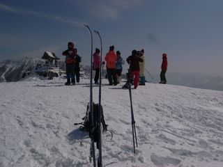 1403241.jpg