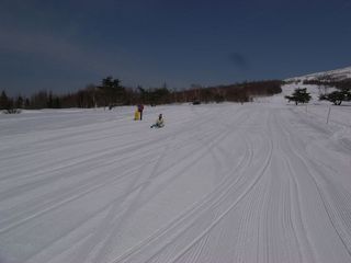1403242.jpg