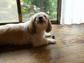 1409011.jpg