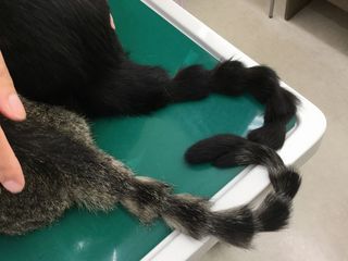 1603171.JPG